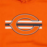 Sideline '23 teamcolor hoodie