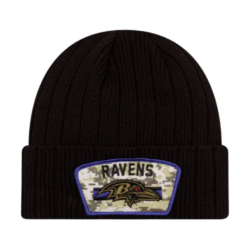 Ravens Salute To Service Hue